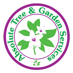 Absolute Tree & Garden Services